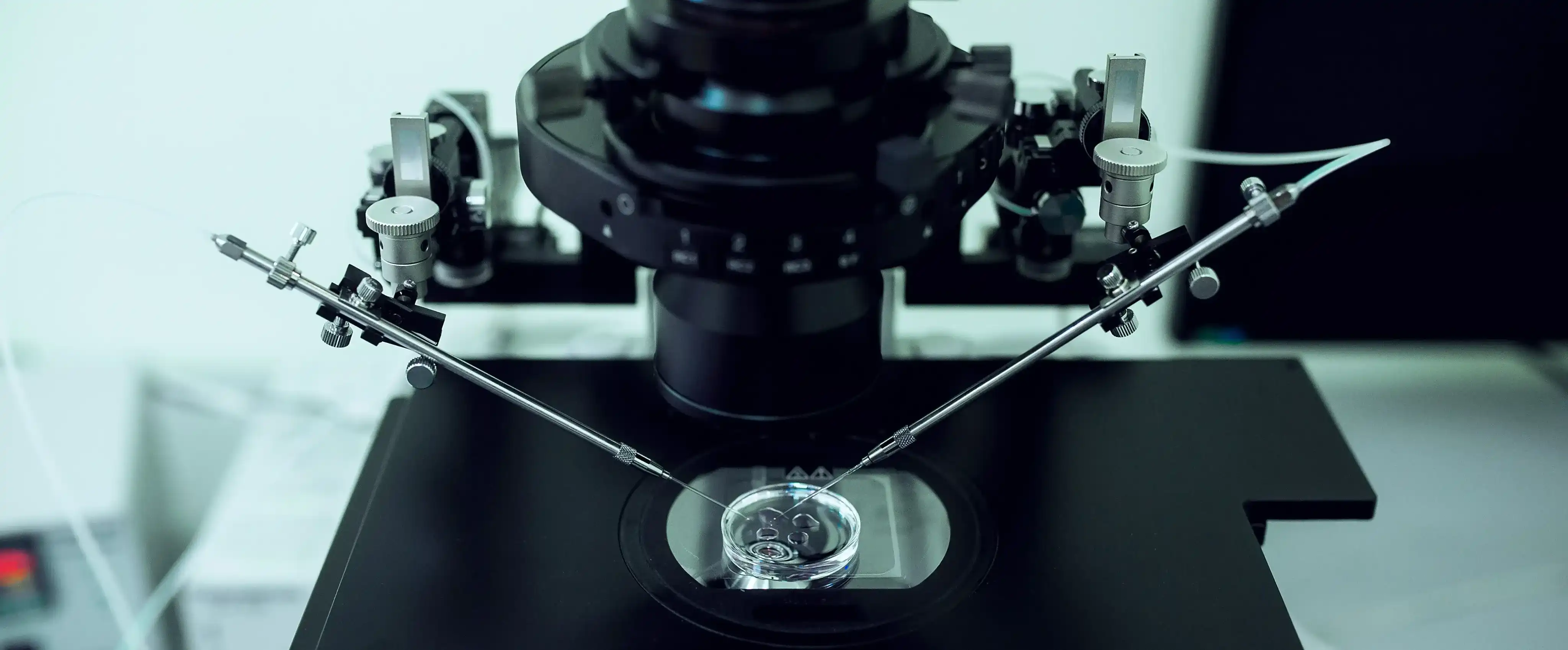 Monash Biotech