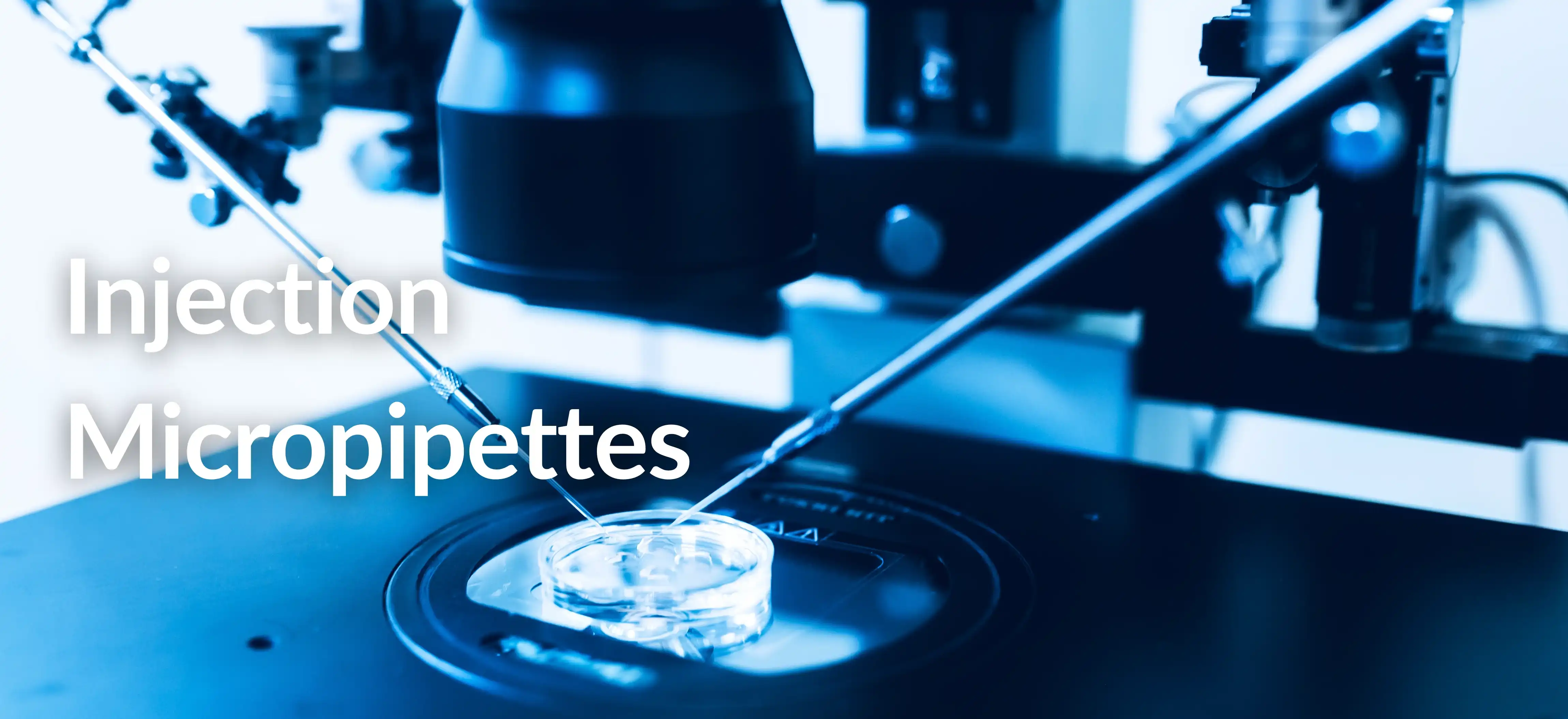 Injection Micropipettes Product View
