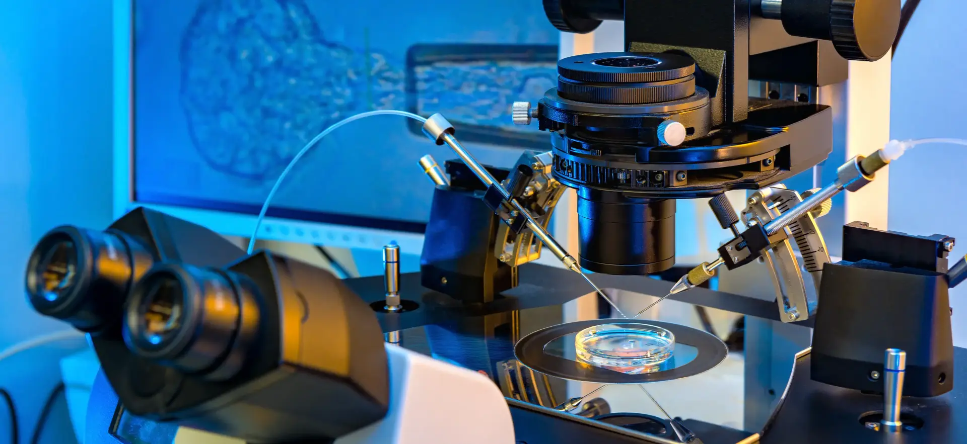 Monash Biotech Pvt. Ltd. - World Leading IVF Micropipettes
